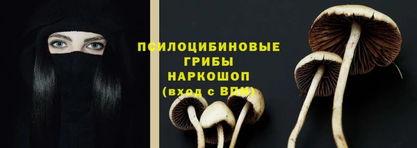 эйфоретик Беломорск