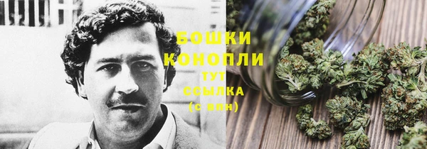 эйфоретик Беломорск