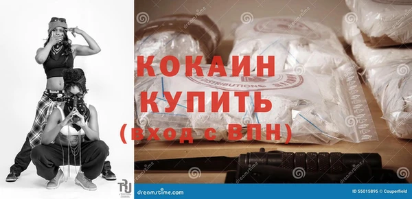 индика Чекалин